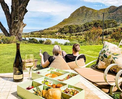 Picnic food and wine beside a tree overlooking green lawns and mountains