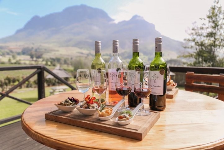 Wine tasting bottles and food on a table with mountain views