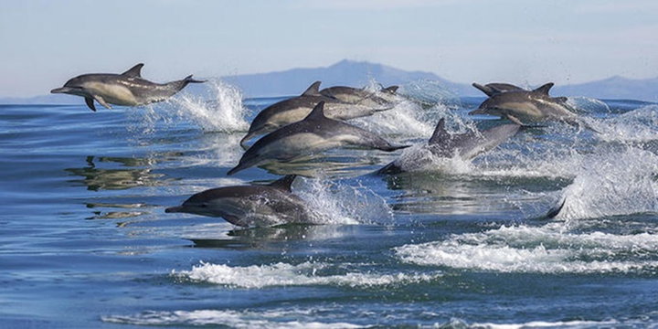 Couples Getaway in Simon’s Town - Aqua Terra Guesthouse