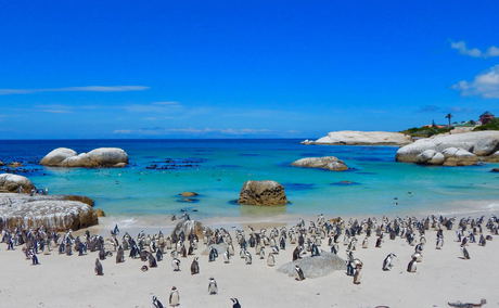 Aqua Terra Luxury Guesthouse - Simons Town Aqua Terra Luxury Guesthouse - Simons Town