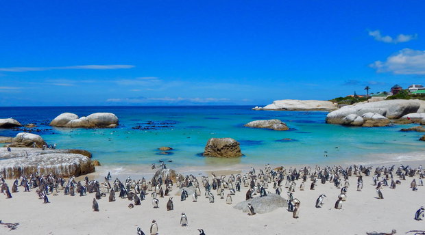 Aqua Terra Luxury Guesthouse - Simons Town