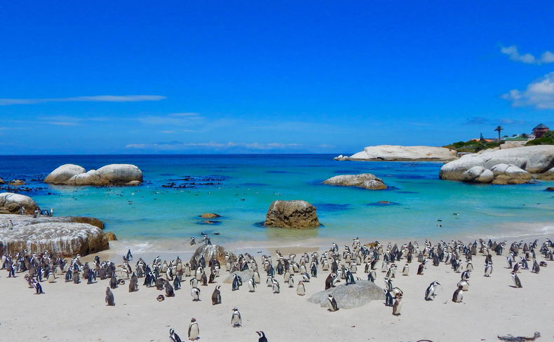 Aqua Terra Luxury Guesthouse - Simons Town Aqua Terra Luxury Guesthouse - Simons Town