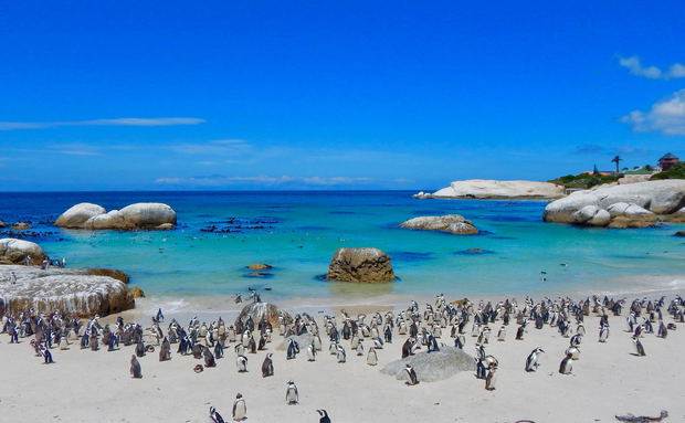 Aqua Terra Boutique Guesthouse and False Bay surroundings in Simon's Town, Cape Town