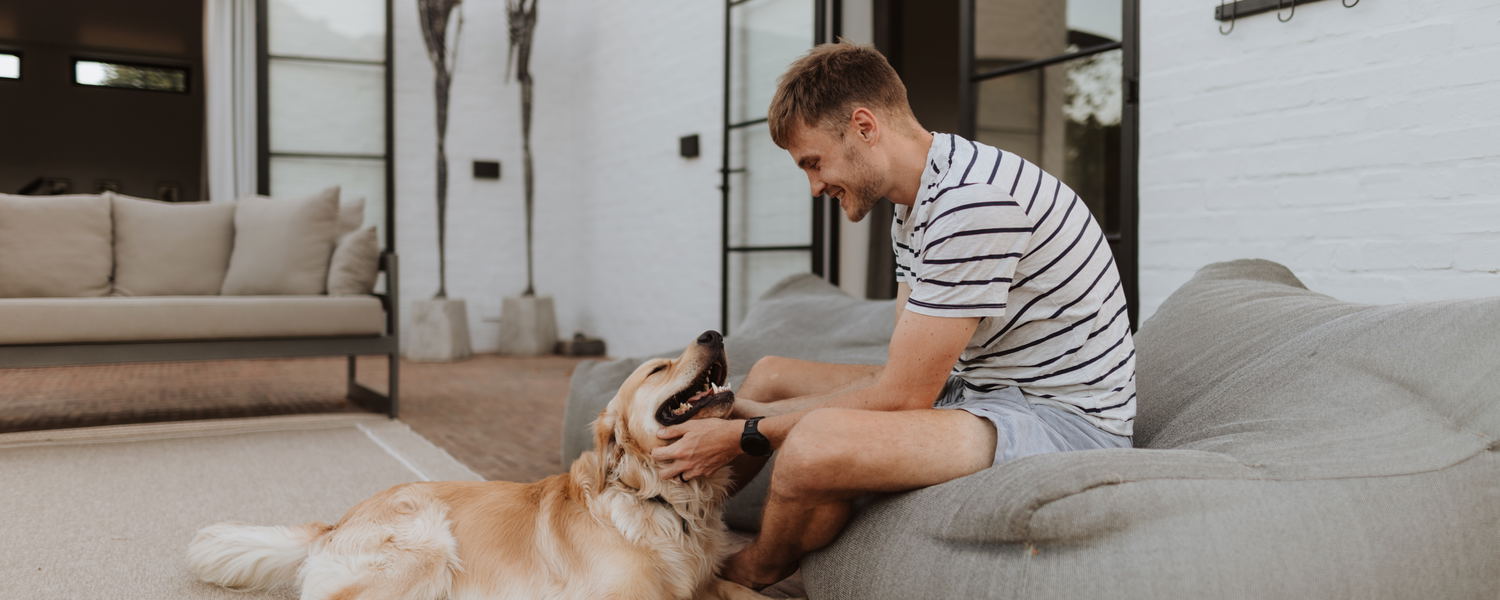 Pet-Friendly