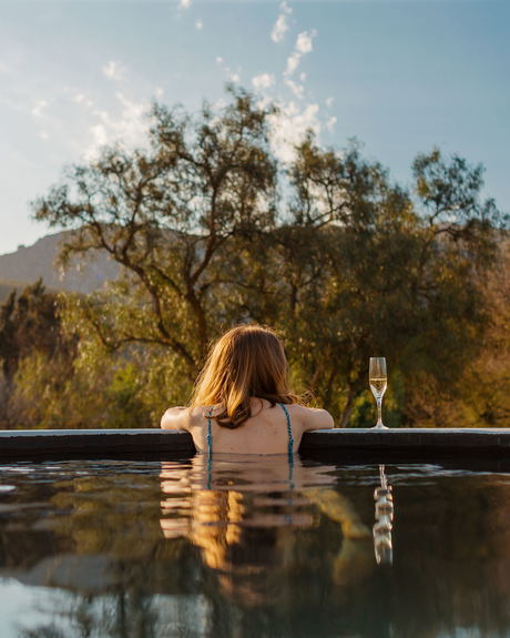 Outdoor Living: Heated Plunge Pool & Rooftop Terrace Outdoor Living: Heated Plunge Pool & Rooftop Terrace