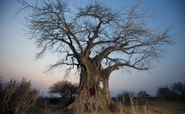 Friends of Ruaha Society