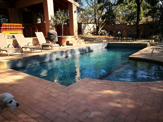 B&B with Swimming Pool Sandton