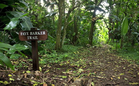 Faye Barker Trail