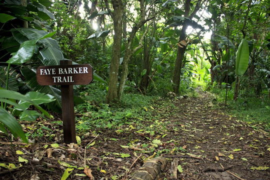 Faye Barker Trail
