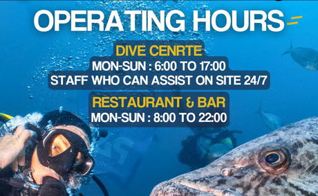 Blue Ocean Operating Hours Blue Ocean Operating Hours