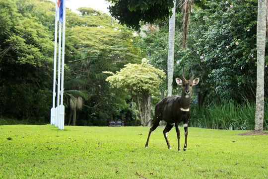 Selborne Wildlife