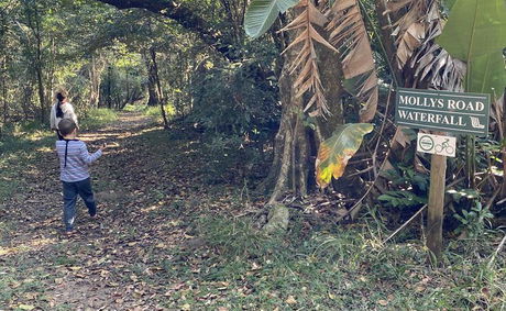 Umdoni Forrest trail Umdoni Forrest trail