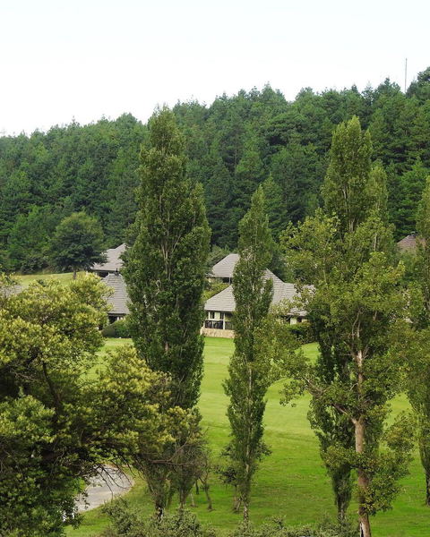 Drakensberg Gardens Fairways Specials