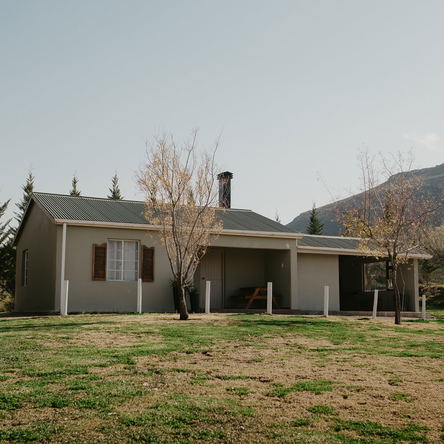 De Wilgers/Willows cottage