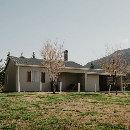 De Wilgers/Willows cottage