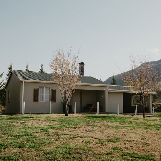 De Wilgers/Willows cottage