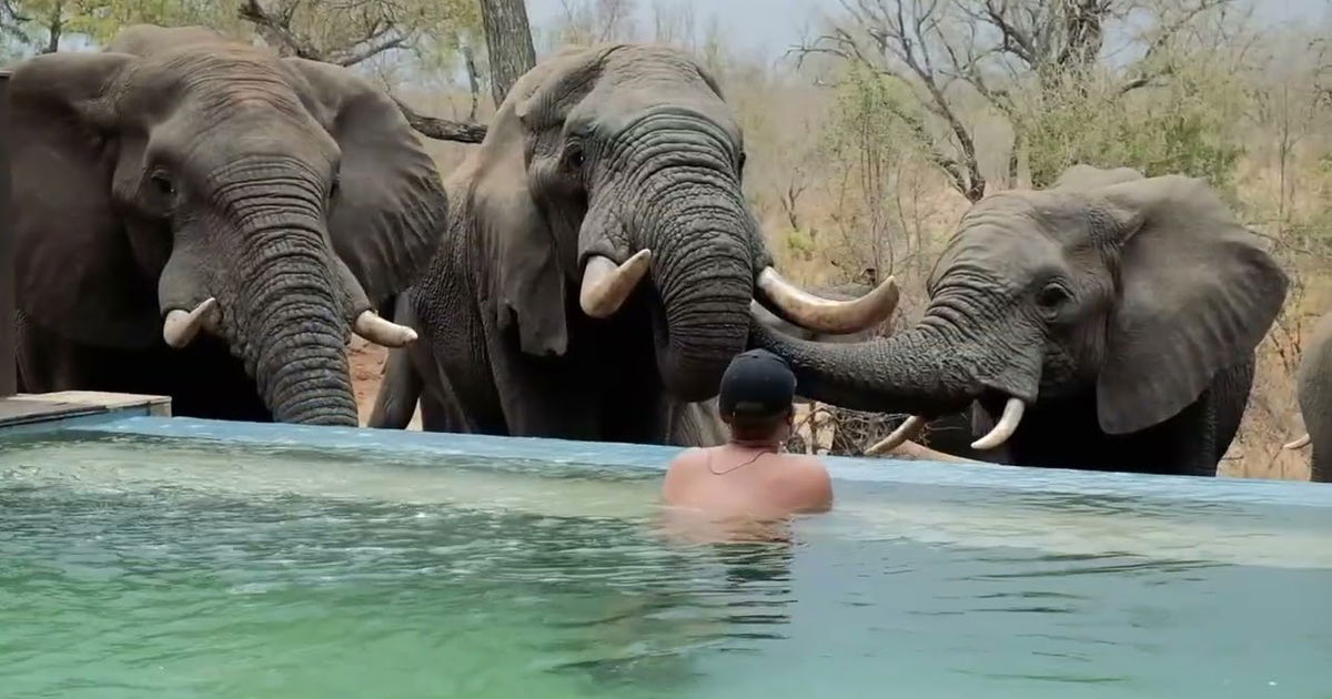 Honeyguide Mantobeni Camp - Reception
