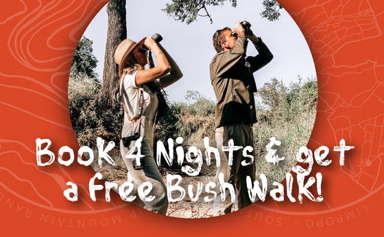 Book 4 Nights & Get A Free Bushwalk