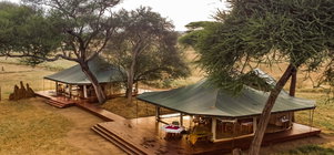 Tarangire Camp - Bookings From 1 October 2025 - May - 2026