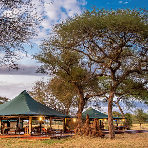 Honeyguide Tarangire  Camp