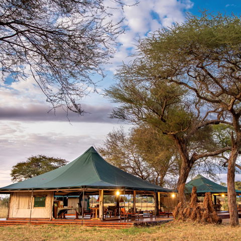 Honeyguide Tarangire  Camp