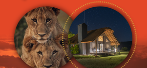 Couples Retreat Package: 3 Night Stay 20% Discount.