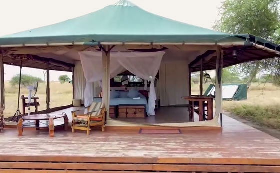 Honeyguide Tarangire Camp