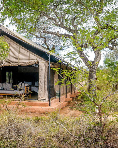 Khoka Moya Camp