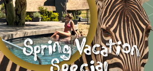 Spring Vacation Special
