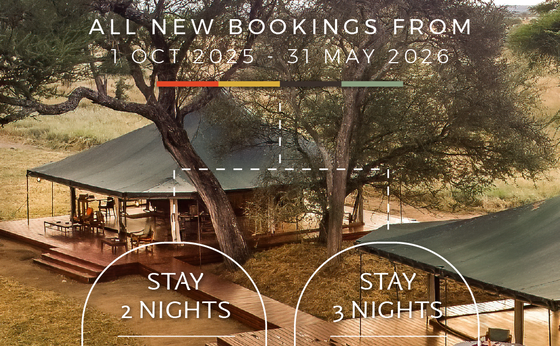 Tarangire Camp - Bookings From 1 October 2025 - May - 2026