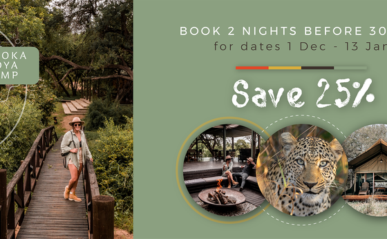 Khoka Moya - BOOK 2 NIGHTS BEFORE 30 NOV