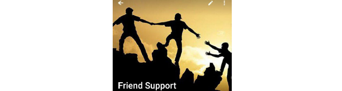 Friend Support