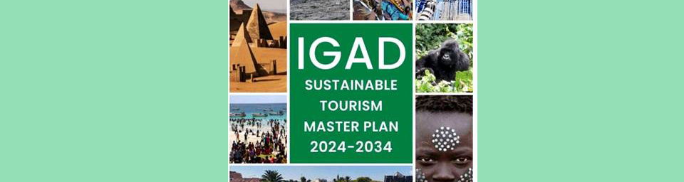 IGAD STMP COVER