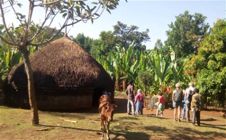 Sustainable Accommodation, Sidama