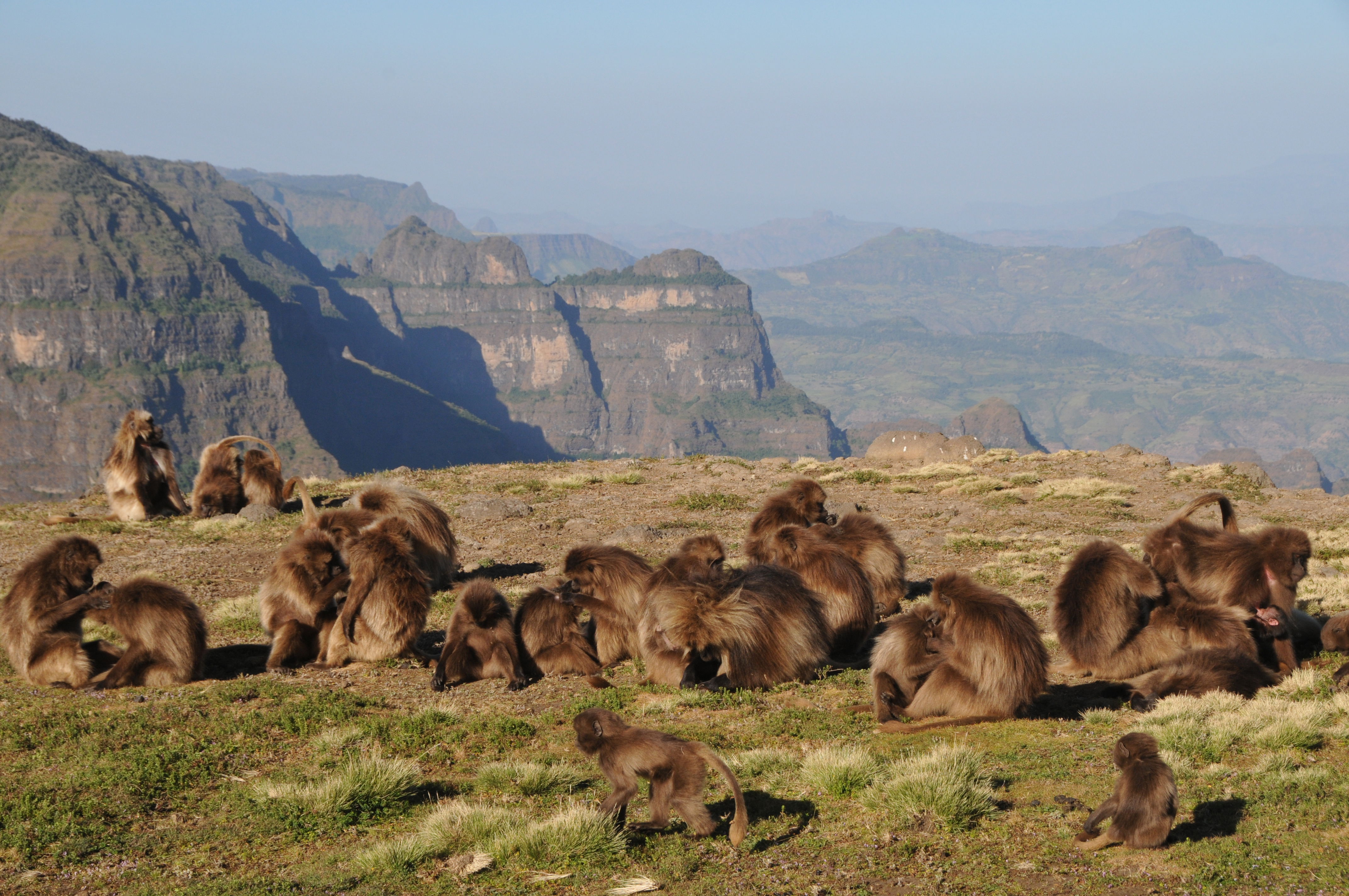 ETHIOPIA TRAVEL BLOG