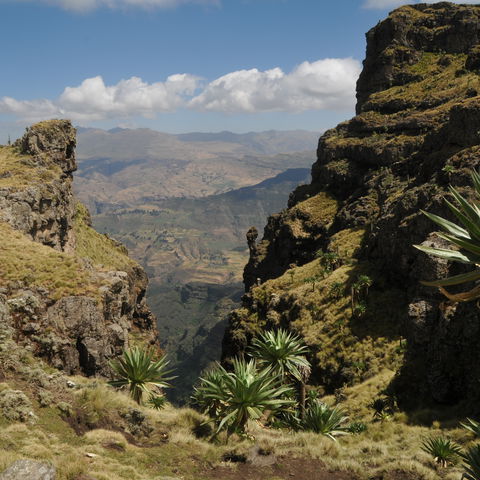 Conquering the roof of Africa-(±10 Days)- Simien Mountain Trekking & Hiking  Adventure