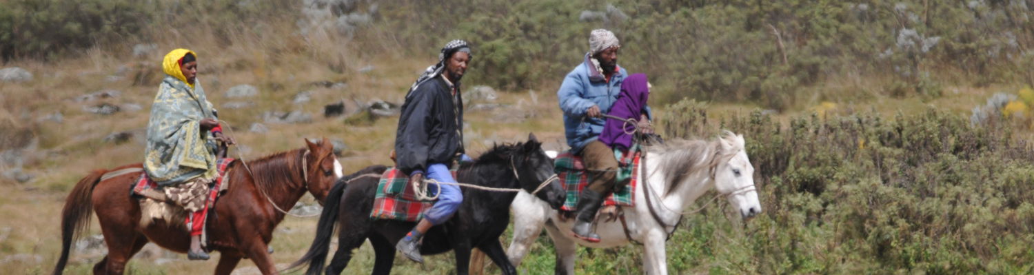 Local transport at Bale mountain National Park / Dinsho area.