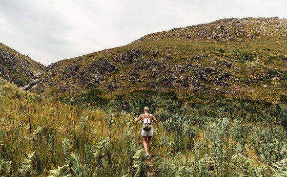 Summer Weekday Special