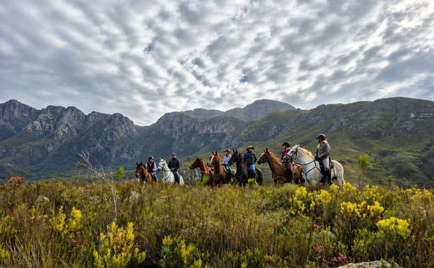 Bokrivier horse outrides