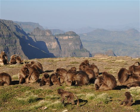 Historic Route by flight, Simien Park and Southern Omo Combo