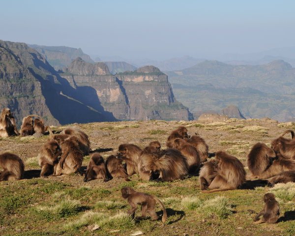 Our best seller! Historic Route, Simien Park and Omo Combo