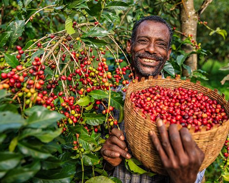 Explore the Coffee Route of Southern Ethiopia