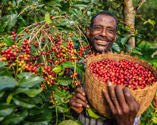 Explore the Coffee Route of Southern Ethiopia
