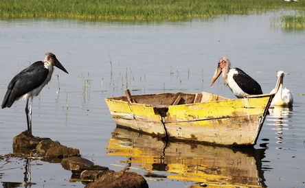 Relax in Sodere & at Langano