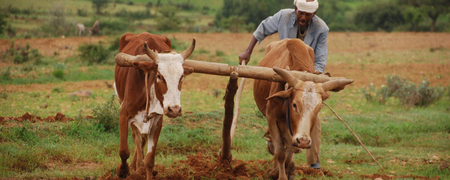 Rural Heritage