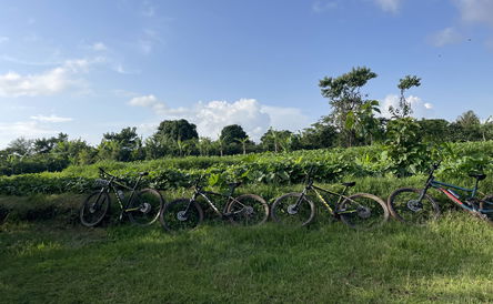 Biking through the beautiful green villages and historic wonders of Ethiopia - 14 days adventure  