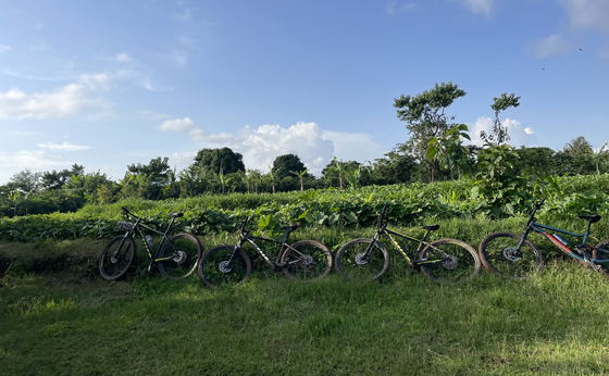 Biking through the beautiful green villages and historic wonders of Ethiopia - 14 days adventure  