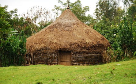 Sidama coffee and Lake Langano