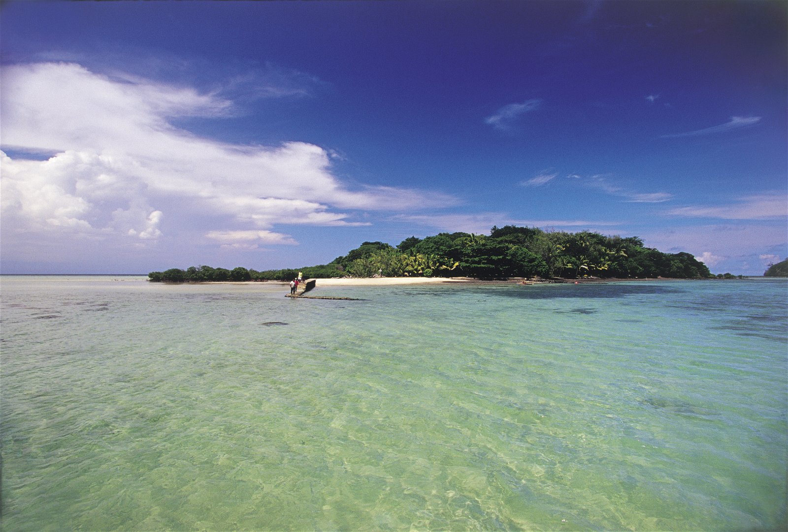Staff member smiling against a backdrop of tropical greenery at Dolphin Island