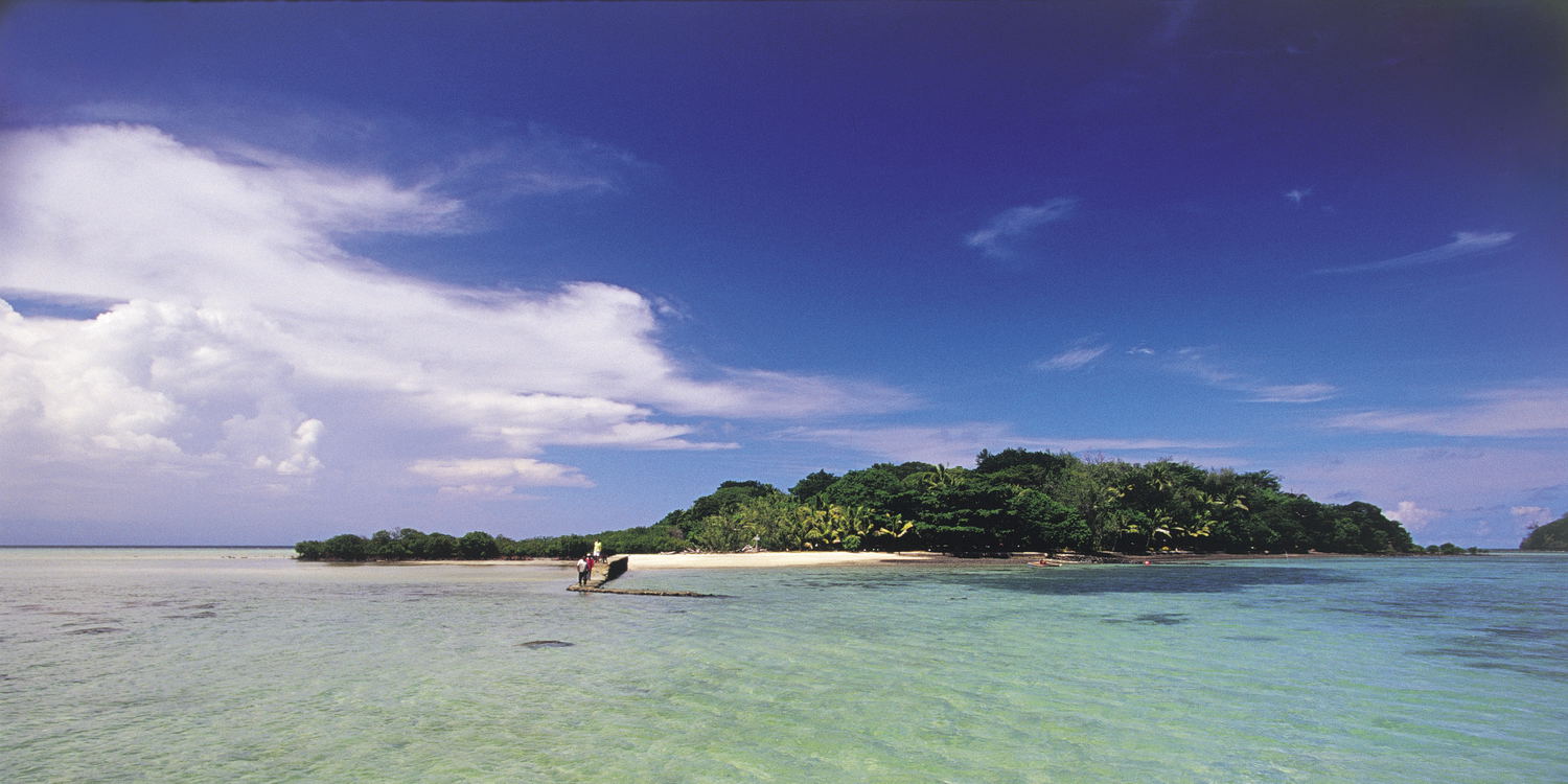 Staff member smiling against a backdrop of tropical greenery at Dolphin Island